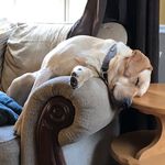 Tim Landry - @t1landry - Instagram