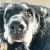 Tim Larkin - @tim.larkin - TikTok
