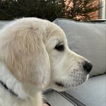 Tim Larson - @curious_tim23 - Instagram