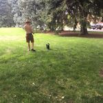 Tim Larson - @timlarson09 - Instagram