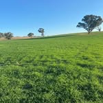 Tim Leahy - @overdale_farms - Instagram