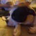 Tim Leaman - Facebook