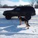 Tim Learjr - Facebook