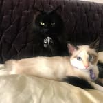 tim leblanc - @fellan824 - Instagram