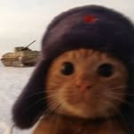 Tim Lee - @timlee2468 - Instagram