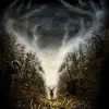 Tim Linker - @tim.linker - TikTok