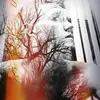 Tim Leininger - @timleininger9 - TikTok