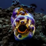 Tim Lemons - @tim_lemons_photos - Instagram