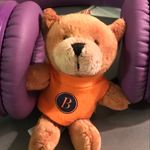 Tim Levin - @timglevin - Instagram
