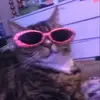 Tim Levin - @tim.levin - TikTok