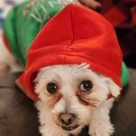 Tim Lillis - @timbiotic - Instagram
