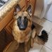 Tim Lincoln - Facebook