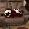 Tim Linville - @tim.linville - TikTok