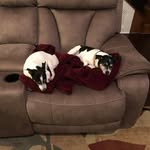 Tim Linville - @tim.linville.98 - Instagram