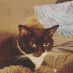 Tim Lister - @tlister3d - Instagram