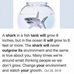 Tim Lloyd - Facebook