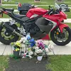 Tim Lloyd - @tim.lloyd16 - TikTok