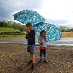 Tim Locher - @tim.locher - Instagram
