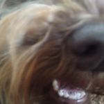 Tim Lorenz - @architect_tim - Instagram