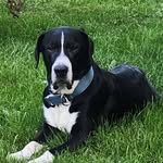 Tim Lucier - @tim.lucier.1 - Instagram