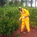 Timo Liyosi - Facebook