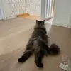 Tim Ludwig7270 - @te.i.em - TikTok