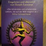 Tim Ludwig - @timdependance - Instagram