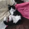 Tim Ludwig - @timludwig08 - TikTok