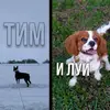 Тим и Луи💋 - @tim_and_lui - TikTok