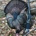 Tim Lyle - Facebook