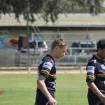 tim tam - @_timlynch - Instagram