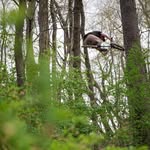 Tim Lyons - @twlyons - Instagram