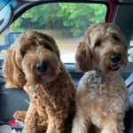 Tim Lyons - @tim.lyons72 - Instagram