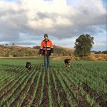 Tim Lyons - @timbosabi2 - Instagram