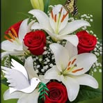 Tim Ma - Facebook