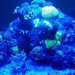 Tim MacMillan - @macmillan.tim - Instagram