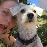 Timothy Rex Magill - @tim.magill - Instagram