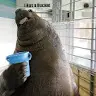 Tim Magnus Hvidsten  - @timmagnushvidsten - TikTok