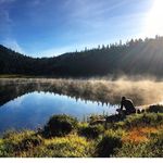 Tim Malcolm - @tim_malcolm - Instagram