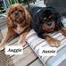 Tim Malone - Facebook