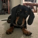 Tim Manion - @tim.manion.97 - Instagram