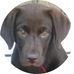 Tim Mansfield - Facebook