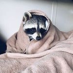 Tim Mansfield - @_tim_man_ - Instagram