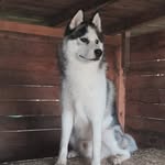 Tim Manuel Lenz - @lenztimmanuel - Instagram