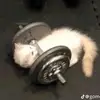 😹Tim😹 - @tim.manuel1 - TikTok