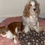 Tim and maple - @maple_tim2 - Instagram