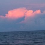 Tim Marks - @tim.marks.52438 - Instagram