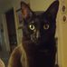Tim Mather - Facebook