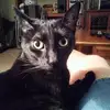 Tim Mather - @tim.mather - TikTok