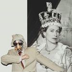 Tim Mathews - @t_mateescu - Instagram